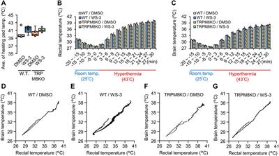 Suppressive effects of a transient receptor potential melastatin 8 (TRPM8) agonist on hyperthermia-induced febrile seizures in infant mice